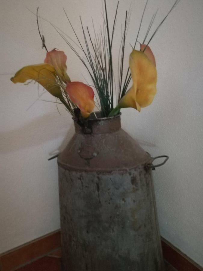 Apartment Fichtenholz *
